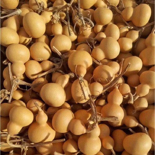 New arrival gourd hand twisted Liaocheng cultural toys small gourd pendant jewelry large gourd ornaments wholesale gourd