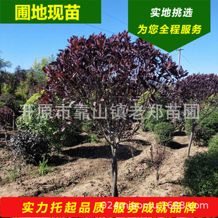 �Nֲ�����~�������|���������@�־G��������ľ���~����ΗU��