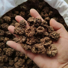 �a�����l ����ľ��ޤ�x�`��؈��߹�������؈��ʳ  ����