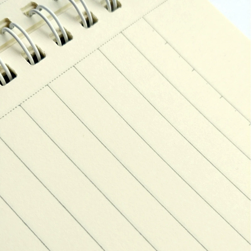 Spiral Notebook (Deli) A5, 60 pages, coil-bound student notepad, random cover color