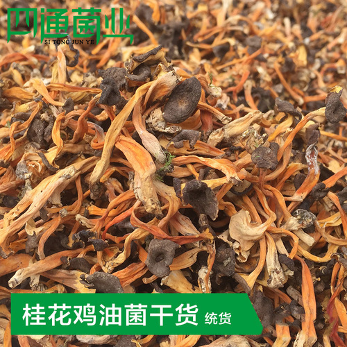 Supply of dried chanterelles, sweet-scented osmanthus chanterelles dried goods, factory wholesale bulk, dried sweet-scented osmanthus mushrooms