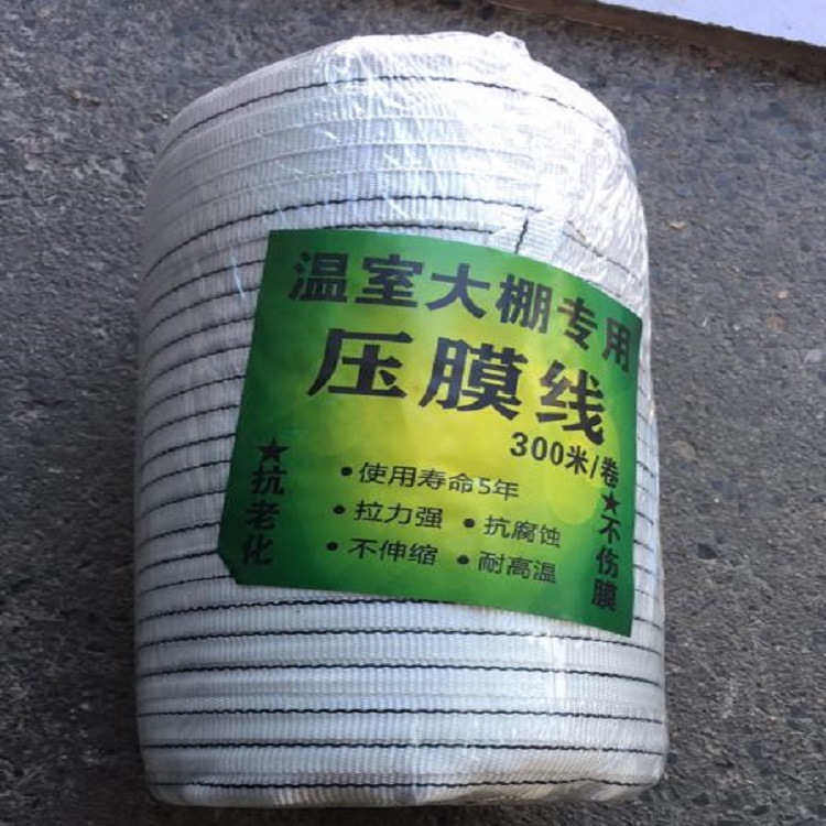 农业大棚专用压膜线白色压膜绳托膜线1.5cm宽300米长一卷