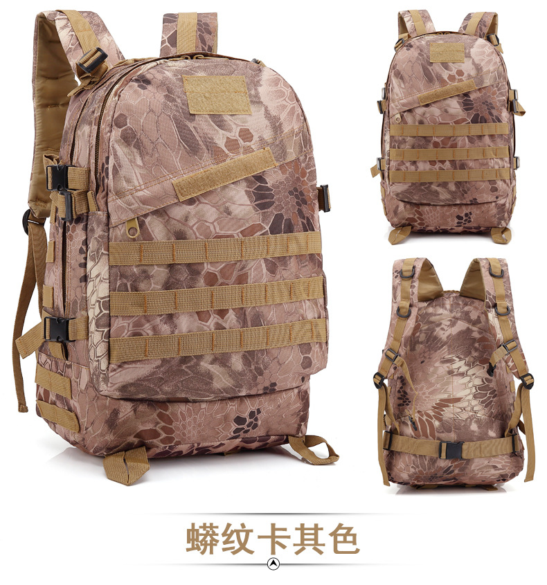 Пиктик Хаки