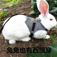 ���Ӡ����K���K�����ü�ʿ�Y����������؈���K��؈�KС�����Y��