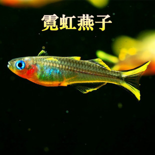 �޺������~���wӭ�t���ɹ��~�ݸ����lС���޺������~�Ꭷ�^�p�~