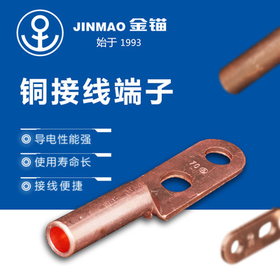 [双孔铜鼻子电力金具 冷压端子双孔铜鼻子 双孔铜接线端子双孔DT]