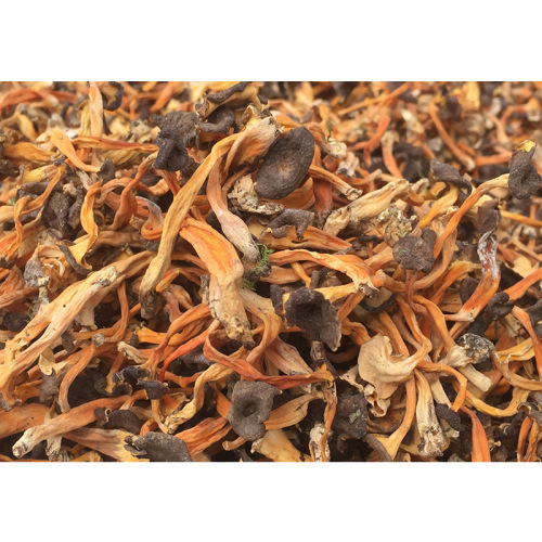 Supply of dried chanterelles, sweet-scented osmanthus chanterelles dried goods, factory wholesale bulk, dried sweet-scented osmanthus mushrooms