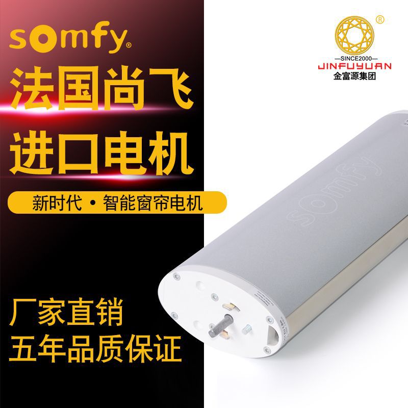 法国原装进口尚飞电机Somfy灵迪60EDCT/RTS电动窗帘遥控设计智能
