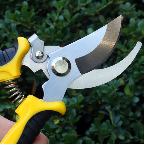 Manufacturer wholesale gardening fruit branch shears multi-functional branch shears garden scissors non-slip labor-saving manual pruning shears