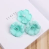 Aqua green