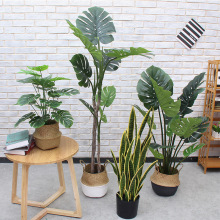 ���Wins���s�Gֲ���Կ͏d����҃Ȕ[ ����������Ƥ�m���~�������B