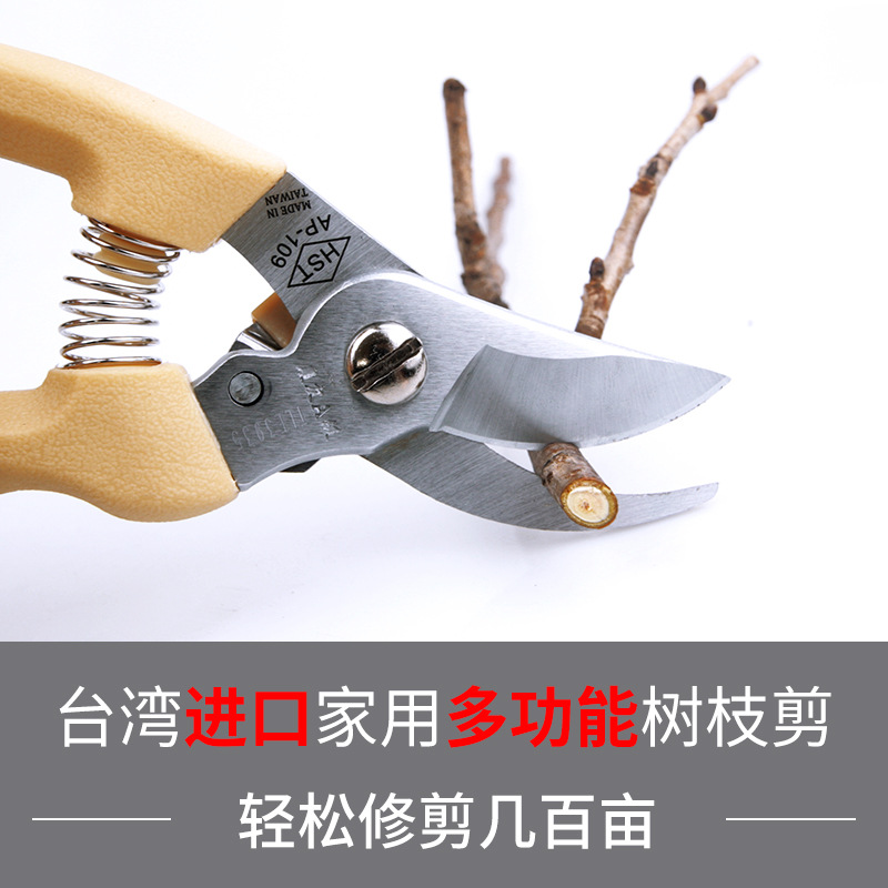 园林剪刀修枝剪树枝剪家用剪果树枝剪台湾HST手工具AP-109