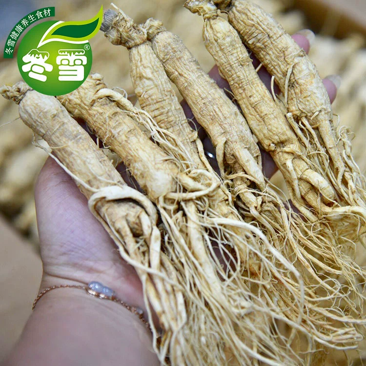 [Красный Женьшень Таблетки, Женьшень Panax, Белый Женьшень, Красный Женьшень] Происхождения Прямой Пакетный Женьшень