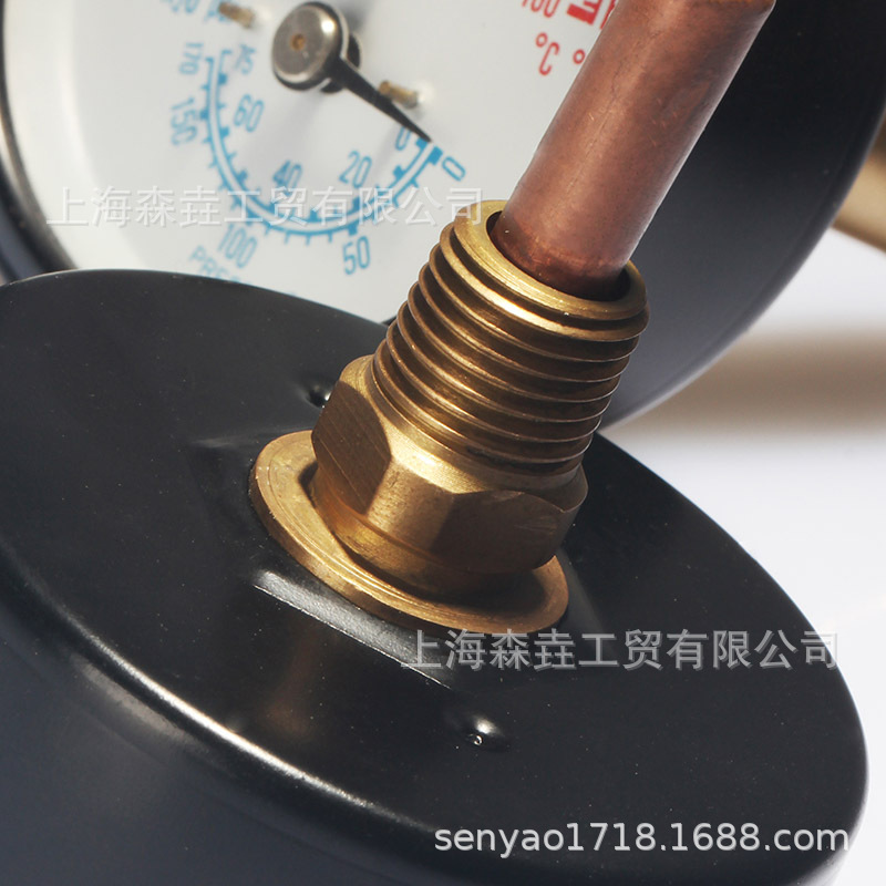 不锈钢感温管表面温度压力一体表 轴向黑铁壳铜连接 WHT-12S