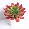 Guanyin lotus bright red