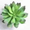 Guanyinlian gray green