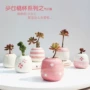 跨境多肉少女手绘花盆