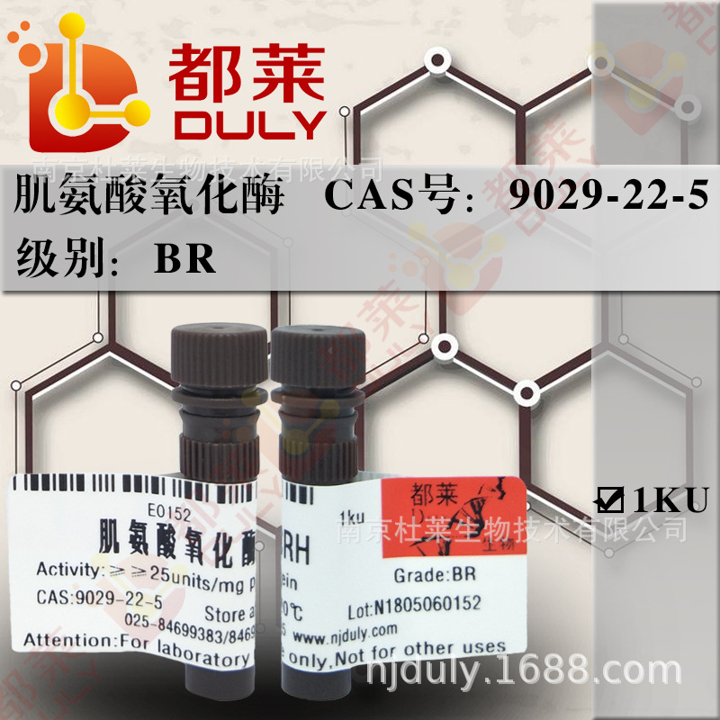 科研试剂  肌氨酸氧化酶/SAO/Sarcosine Oxidase 规格：BR，25/mg