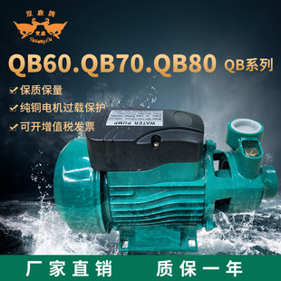QB60110v220v�~��С�������ü��������ô�������ˮ�ÏS�����l