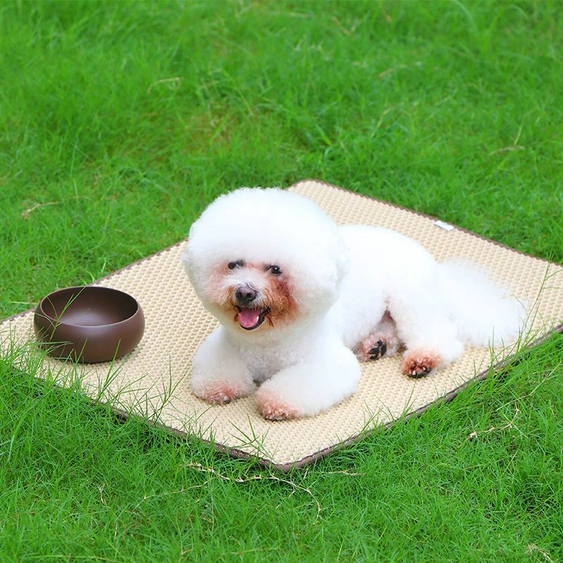 Коврик для домашних животных (собак и кошек), изготовленный из пенополиэтиленового материала, двухслойный, складной, с силиконовой нескользящей подошвой и сотовой противоскользящей структурой.