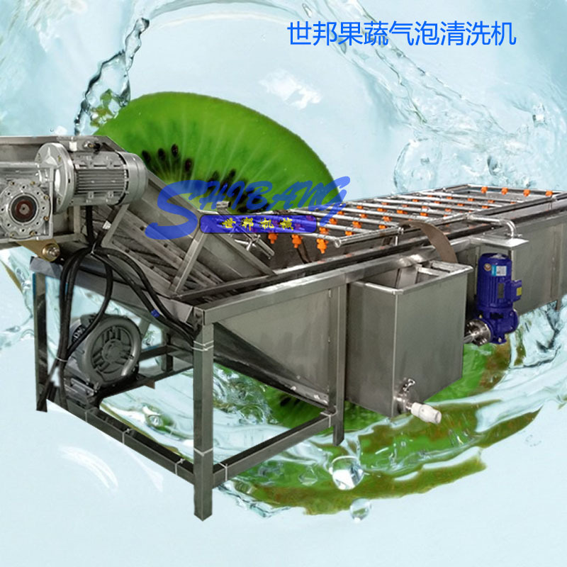 厂家供应果蔬气泡清洗机 大枣清洗机生产厂家 多功能蔬菜清洗机