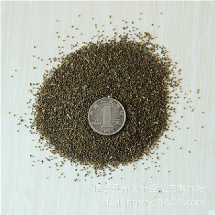 Оптовая комбинация полевых цветов Семена Шлемника Барбата Семена Шлемария Барбата и семена травы головы Hanxincao зубная щетка семена травы