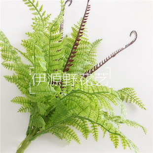 �S�ҟ��N ����ާ���~ ����ֲ���˹�~�ٲ� �廨���ֲ����