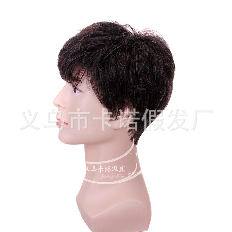 Peluca transfronteriza europea y americana moda popular Peluca de los hombres flor blanca de seda de alta temperatura esponjoso de mediana edad y anciano pelo corto