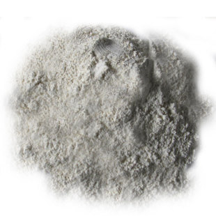 Ó֬�󶹷�  ����