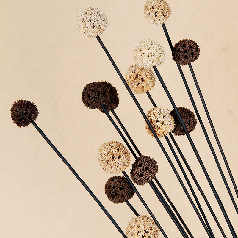 Fleurs séchées décoratives faites main pour décoration murale_voghion.com