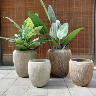 �Q�y�Gɫ�ɷNֲ����䓻���ˮ���Π��҃ȼҾ�����Ƶ��d�[�O1527