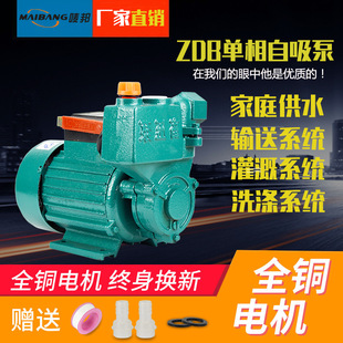 ��ˮ�ó�ˮ�C�r��늄ӆ���΢��ˮ��1.5KW������ˮ��ZDB������220V