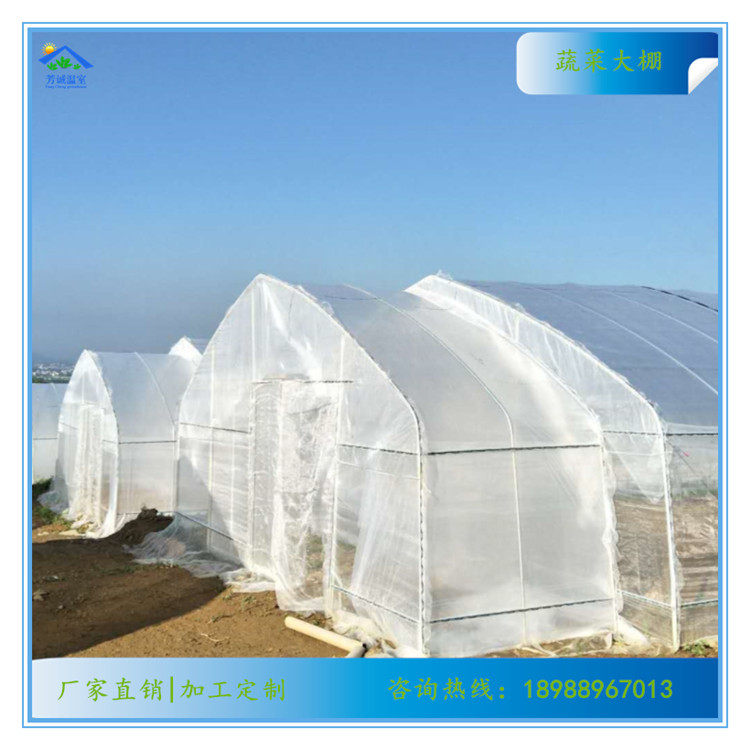 供应 农业大棚设计安装 简易大棚薄膜育苗棚钢管大棚每平方米造价