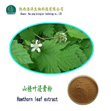 ɽ��~��ȡ�� ɽ��~�Sͪ10%-80% ɽ��Sͪ ����ĵ�G��������߰