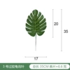 No. 3 Turtle Back A00452