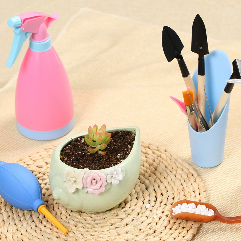 Мясистые инструменты для посадки в горшках костюм для новичка, садоводство из трех частей, пинцет, коврик для посадки