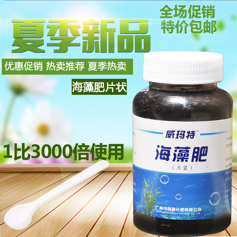 海藻肥厂家批发直销进口马尾藻生物提取肥海洋生物肥海藻精粉片状