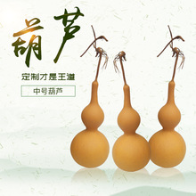 聊城种植销售天然中号素葫芦亚腰葫芦摆件居家文玩葫芦货源大小全
