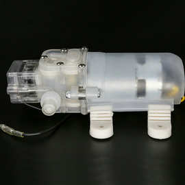 厂家直销 卫生微型隔膜泵 电动微型隔膜泵 家用微型隔膜泵