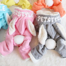 ﶬ¿Petstyle LOGOĽ ůװ ޳·