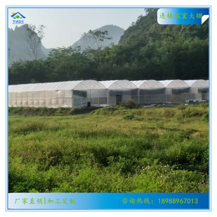 供应温室连体连栋大棚农业养殖种植花卉蔬菜大棚钢管骨架配件全套