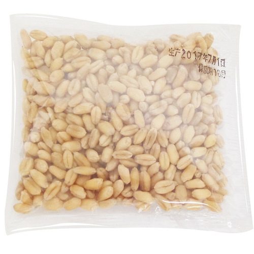 Small Wild Civet Cat Grass Seed Catnip Cat Snacks for Shedding and Hairball Control Pack of 10g/Bag