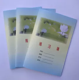 笔记本记事本;其他簿本册;纸类印刷