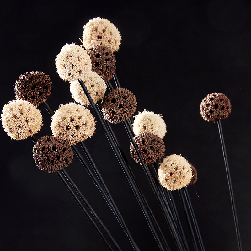 Fleurs séchées décoratives faites main pour décoration murale_voghion.com