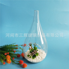 批发悬挂式玻璃花瓶 水滴形微景观 水滴玻璃吊瓶 微景观生态瓶