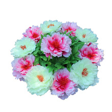 ����ĵ�����P����Ȧ������Ĺ���ω��ٻ�������������[�Ż����l