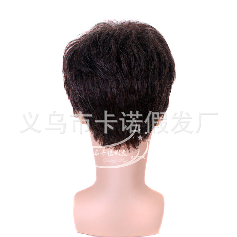 Peluca transfronteriza europea y americana moda popular Peluca de los hombres flor blanca de seda de alta temperatura esponjoso de mediana edad y anciano pelo corto