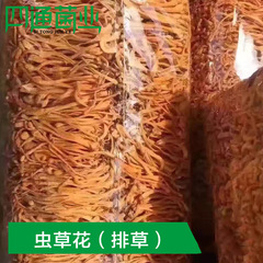 Manufacturer wholesale plateau specialties cordyceps flower dried goods catering hot pot soup wholesale