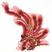 �S���؃r�¿�W�����wˮ�ܴ̽�������Ƭ��ȸ�赸�ݳ����o���N��