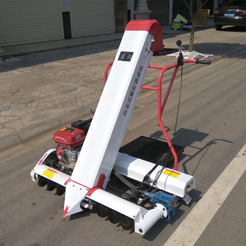 常青全自动收粮食稻谷玉米小麦汽油收谷装袋机 多功能粮食灌袋机